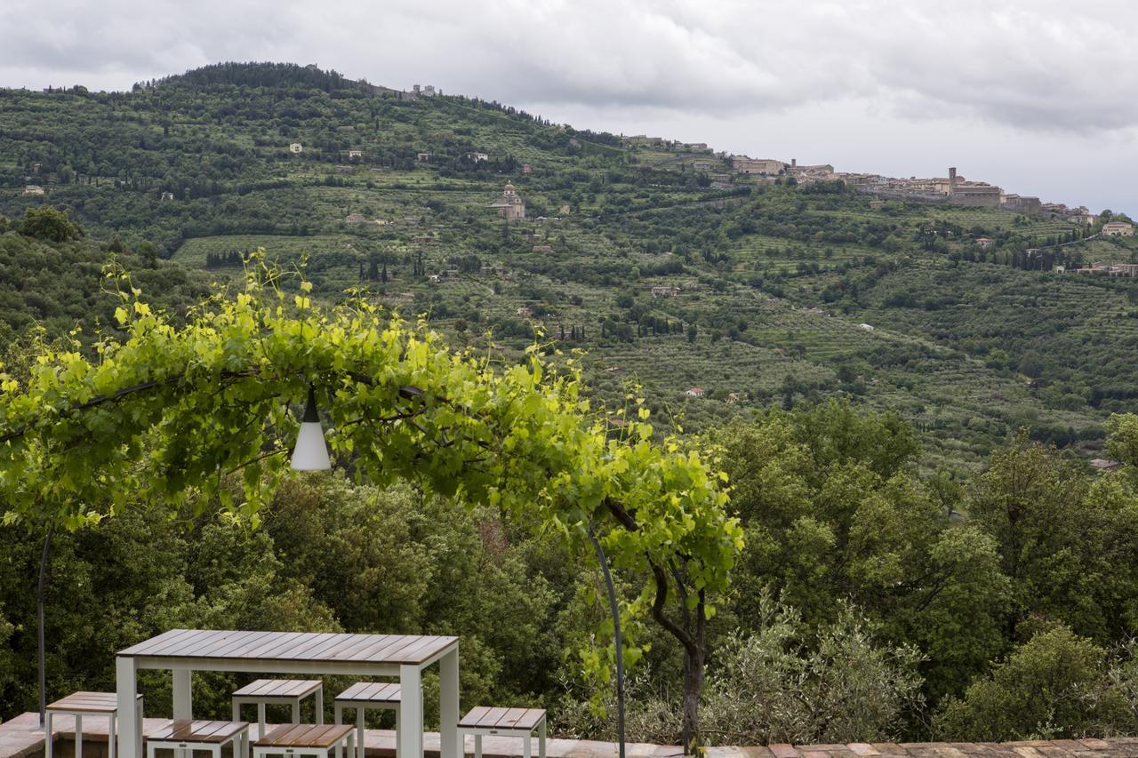 קורטונה Villa Pomona מראה חיצוני תמונה